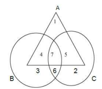 CBSE Class 11 PSA Qualitative Reasoning Sample Paper Set B