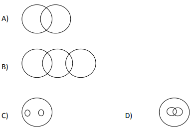 CBSE Class 11 PSA Qualitative Reasoning Sample Paper Set B