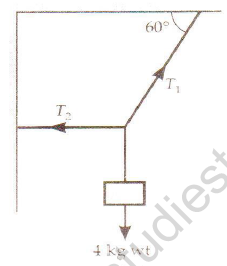 CBSE Class 11 Physics Laws of Motion Worksheet Set E 2