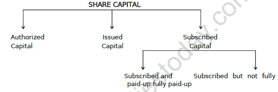 CBSE Class 12 Accountancy Accounting For Companies Worksheet 1