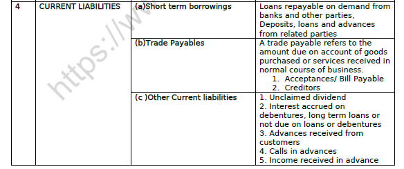 CBSE Class 12 Accountancy Financial Statements of A Company Worksheet 5