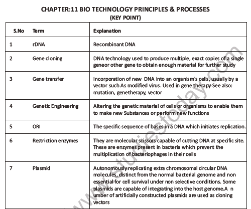 CBSE Class 12 Biology Bio Technology Principles And Processes Question Bank 1