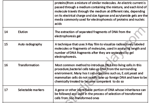 CBSE Class 12 Biology Bio Technology Principles And Processes Question Bank 3