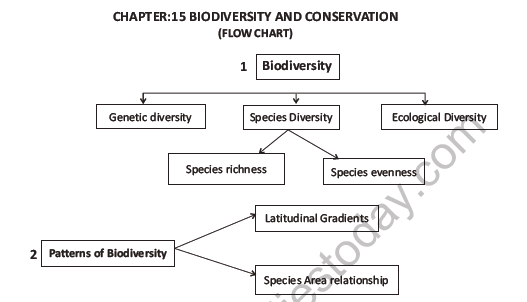 CBSE Class 12 Biology Biodiversity And Conservation Question Bank 3