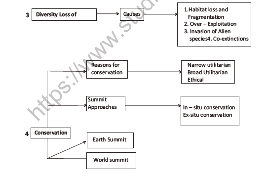 CBSE Class 12 Biology Biodiversity And Conservation Question Bank 4