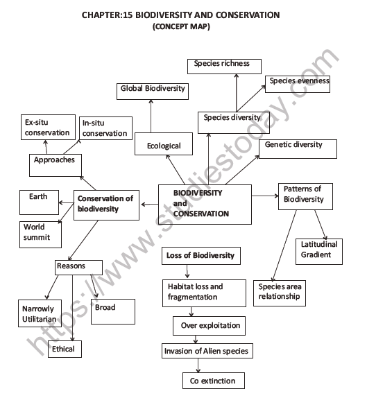 CBSE Class 12 Biology Biodiversity And Conservation Question Bank 5