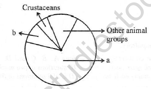 CBSE Class 12 Biology Biodiversity And Conservation Worksheet Set A 1