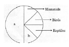 CBSE Class 12 Biology Biodiversity And Conservation Worksheet Set A 3