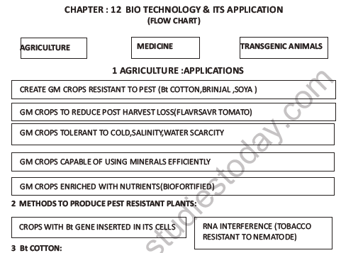 CBSE Class 12 Biology Biotechnology And Its Application Question Bank 4