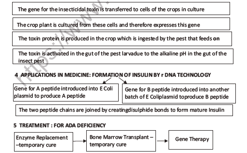 CBSE Class 12 Biology Biotechnology And Its Application Question Bank 5