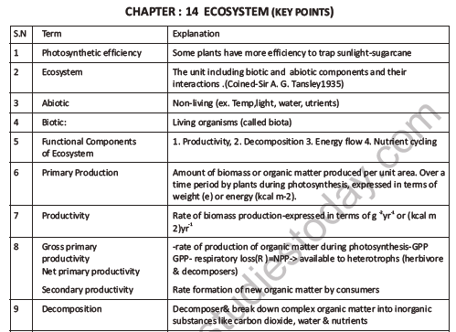 CBSE Class 12 Biology Ecosystem Question Bank 1
