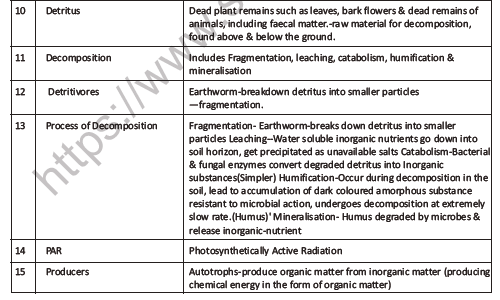 CBSE Class 12 Biology Ecosystem Question Bank 2