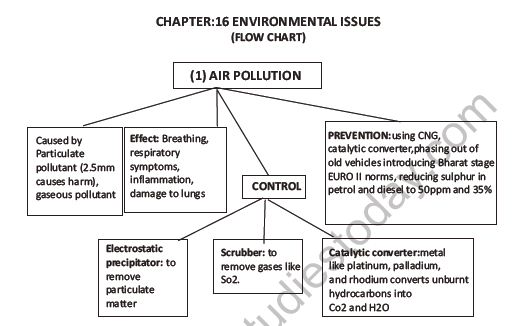 CBSE Class 12 Biology Environmental Issues Question Bank 3