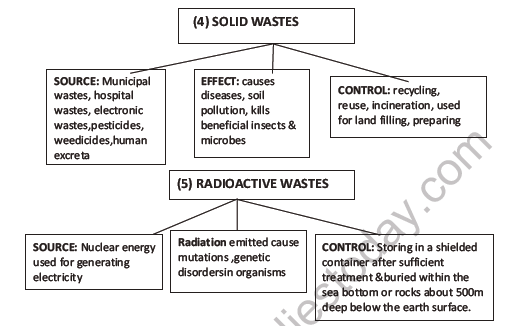 CBSE Class 12 Biology Environmental Issues Question Bank 5