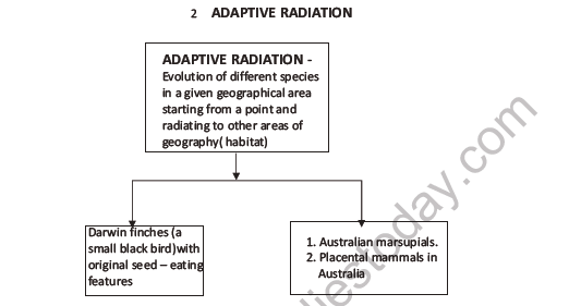 CBSE Class 12 Biology Evolution Question Bank 4