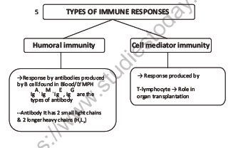 CBSE Class 12 Biology Human Health And Diseases Question Bank 3