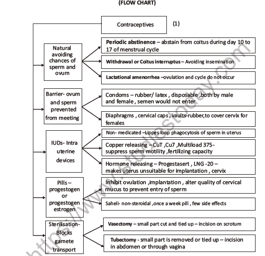 CBSE Class 12 Biology Human Reproductive Health Question Bank 3