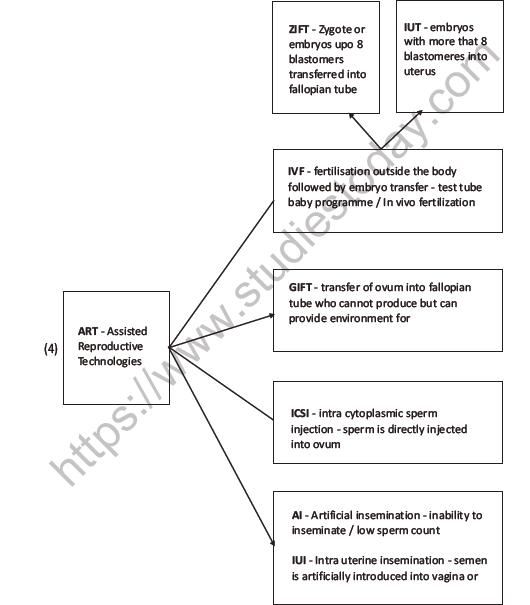 CBSE Class 12 Biology Human Reproductive Health Question Bank 5