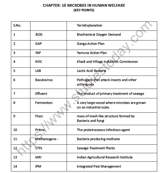 CBSE Class 12 Biology Microbes In Human Welfare Worksheet Set C 1