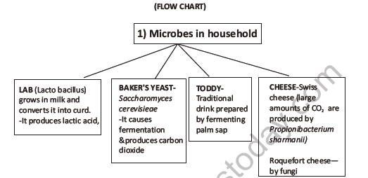 CBSE Class 12 Biology Microbes In Human Welfare Worksheet Set C 2