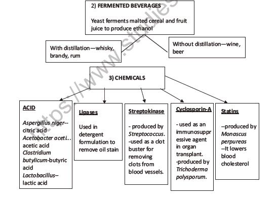 CBSE Class 12 Biology Microbes In Human Welfare Worksheet Set C 3