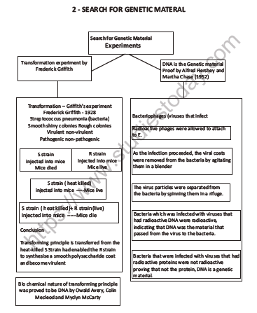 CBSE Class 12 Biology Molecular Basis of Inheritance Question Bank 2