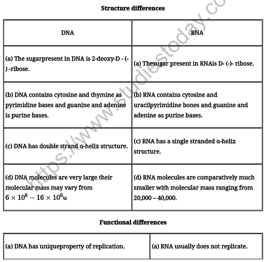 CBSE Class 12 Biology Molecular Basis of Inheritance Worksheet 3