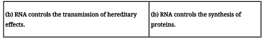 CBSE Class 12 Biology Molecular Basis of Inheritance Worksheet 4