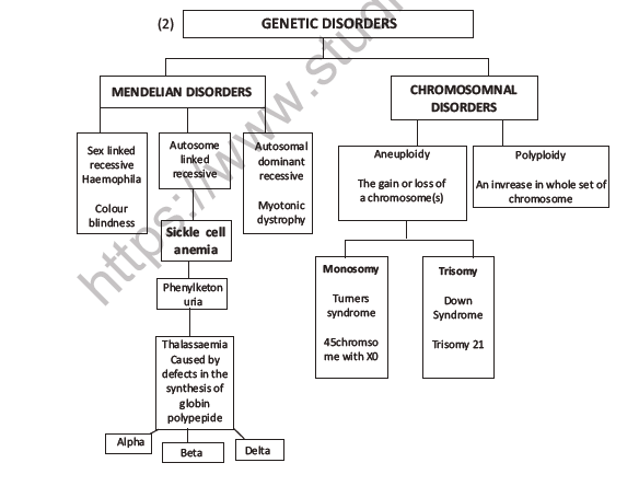 CBSE Class 12 Biology Principles of Inheritance And Variation Question Bank 3