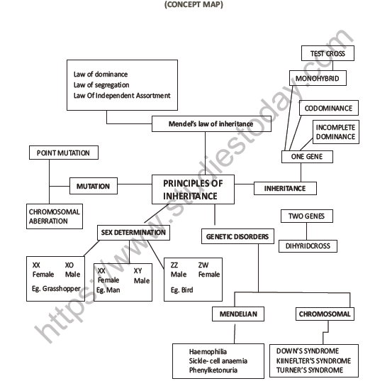 CBSE Class 12 Biology Principles of Inheritance And Variation Question Bank 4