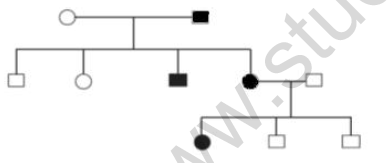 CBSE Class 12 Biology Question Paper 2022 Set B Solved 2