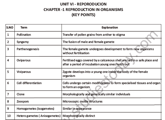 CBSE Class 12 Biology Reproduction In Organisms Question Bank 1