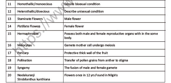CBSE Class 12 Biology Reproduction In Organisms Question Bank 2