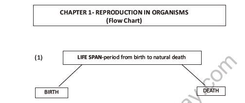 CBSE Class 12 Biology Reproduction In Organisms Question Bank 3