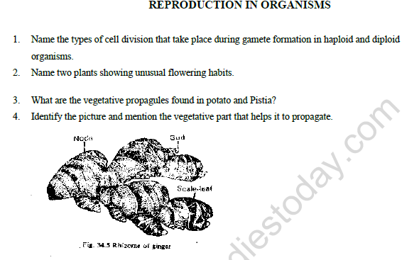 CBSE Class 12 Biology Reproduction In Organisms Worksheet Set B 1