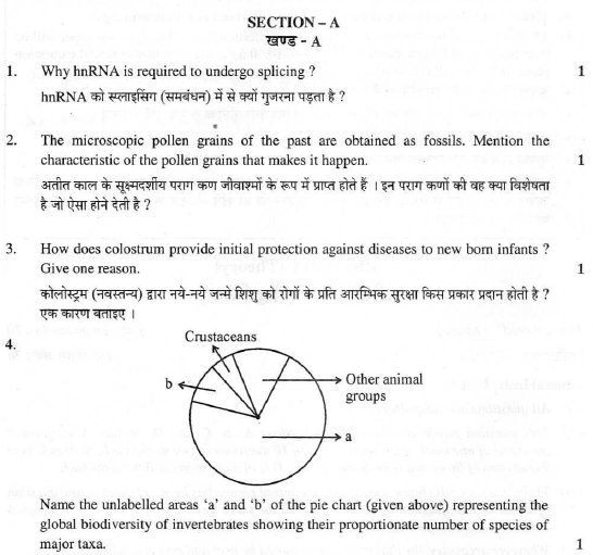 CBSE Class 12 Biology Sample Paper 2009 Set D