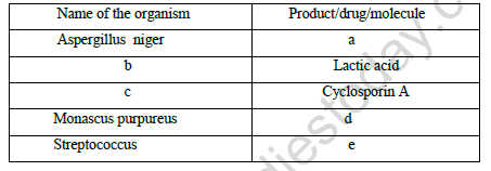 CBSE Class 12 Biology Sample Paper 2021 Set B Solved 2