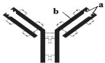 CBSE Class 12 Biology Sample Paper 2022 Set D Solved 1