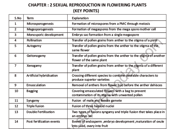 CBSE Class 12 Biology Sexual Reproduction In Flowering Plants Worksheet Set F 1