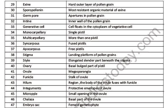 CBSE Class 12 Biology Sexual Reproduction In Flowering Plants Worksheet Set F 3