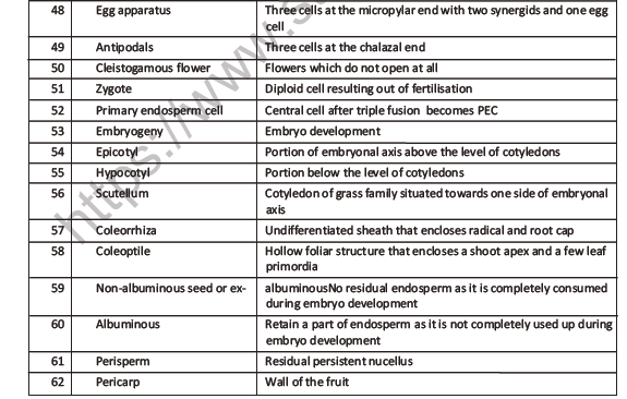 CBSE Class 12 Biology Sexual Reproduction In Flowering Plants Worksheet Set F 4