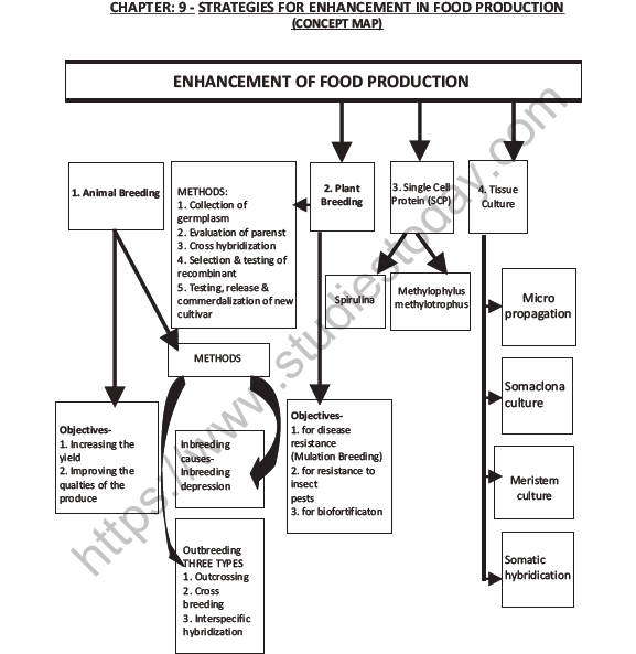 CBSE Class 12 Biology Strategies For Enhancement In Food Production 1