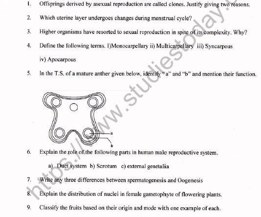CBSE Class 12 Biology Worksheet Set D Solved 1