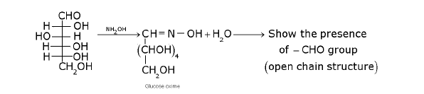 CBSE Class 12 Chemistry - Biomolecules Chapter Notes 1