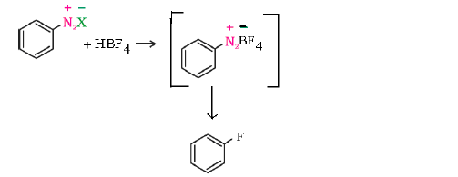 CBSE Class 12 Chemistry - Haloalkanes and Haloarenes Chapter Notes 1