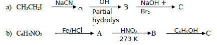 CBSE Class 12 Chemistry Organic Compounds Containing Nitrogen Worksheet 1