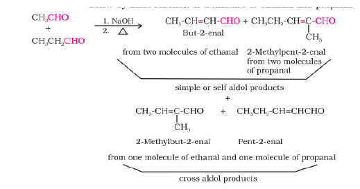 CBSE Class 12 Chemistry Revision Aldehydes Ketones Carboxylic Acids 4