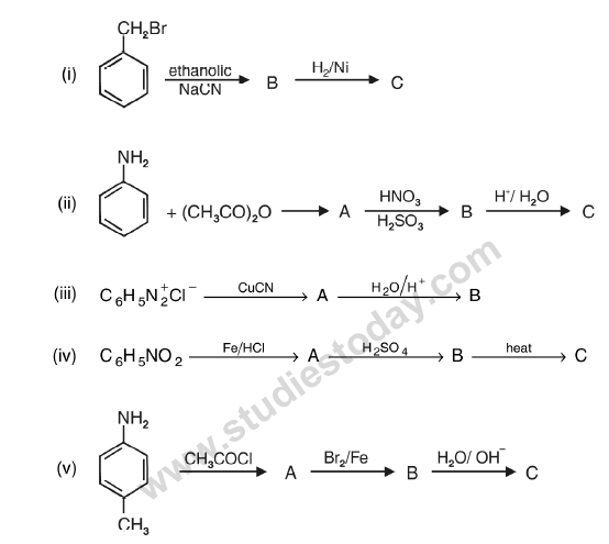 CBSE Class 12 Chemistry notes and questions for Amines Part C 2