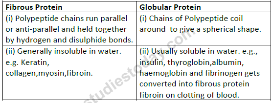 CBSE Class 12 Chemistry notes and questions for Biomolecules Part B 1
