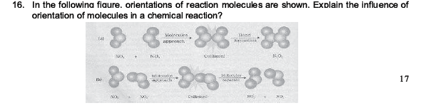 CBSE Class 12 Chemistry notes and questions for Chemical Kinetics Part A
